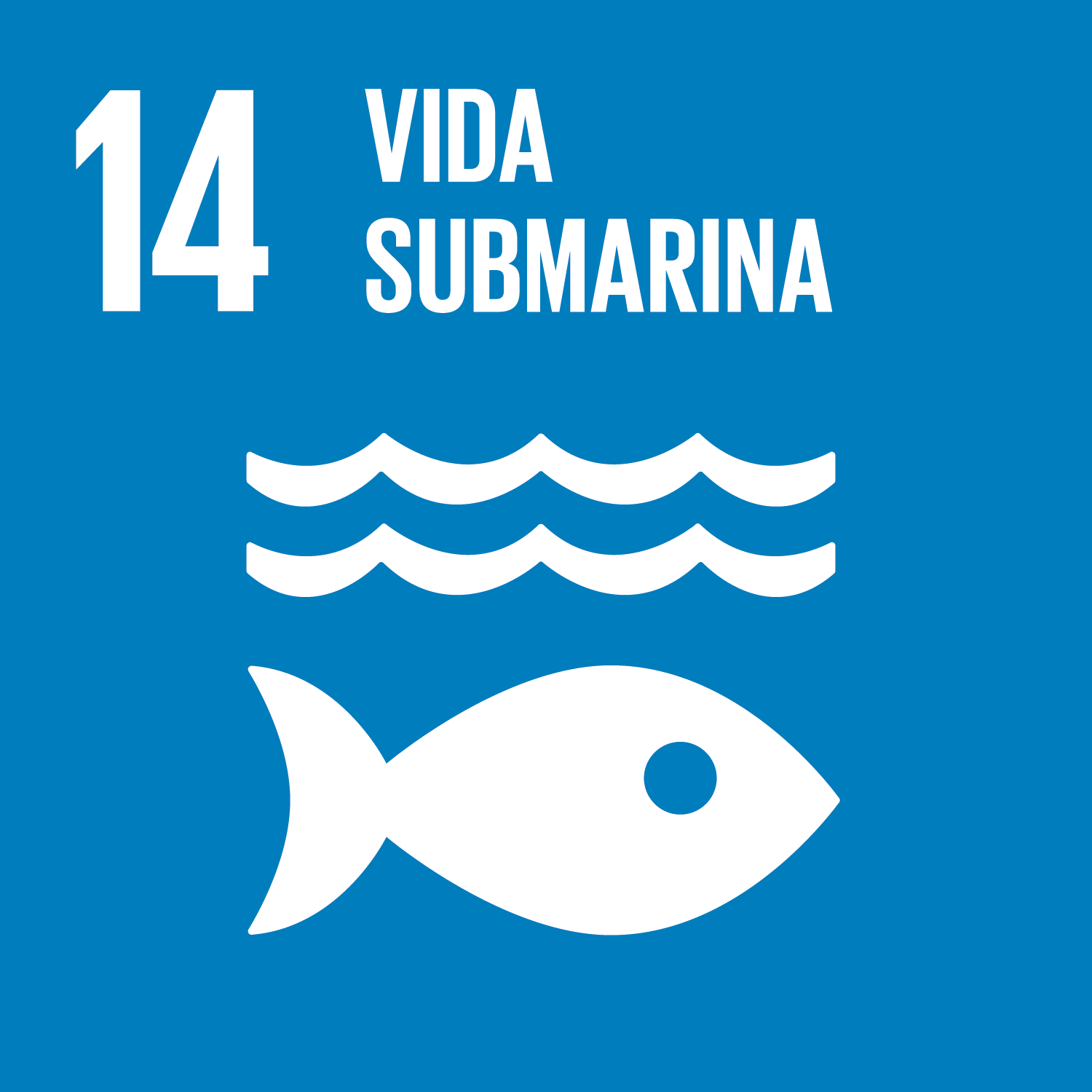 Objectiu 14 Vida submarina