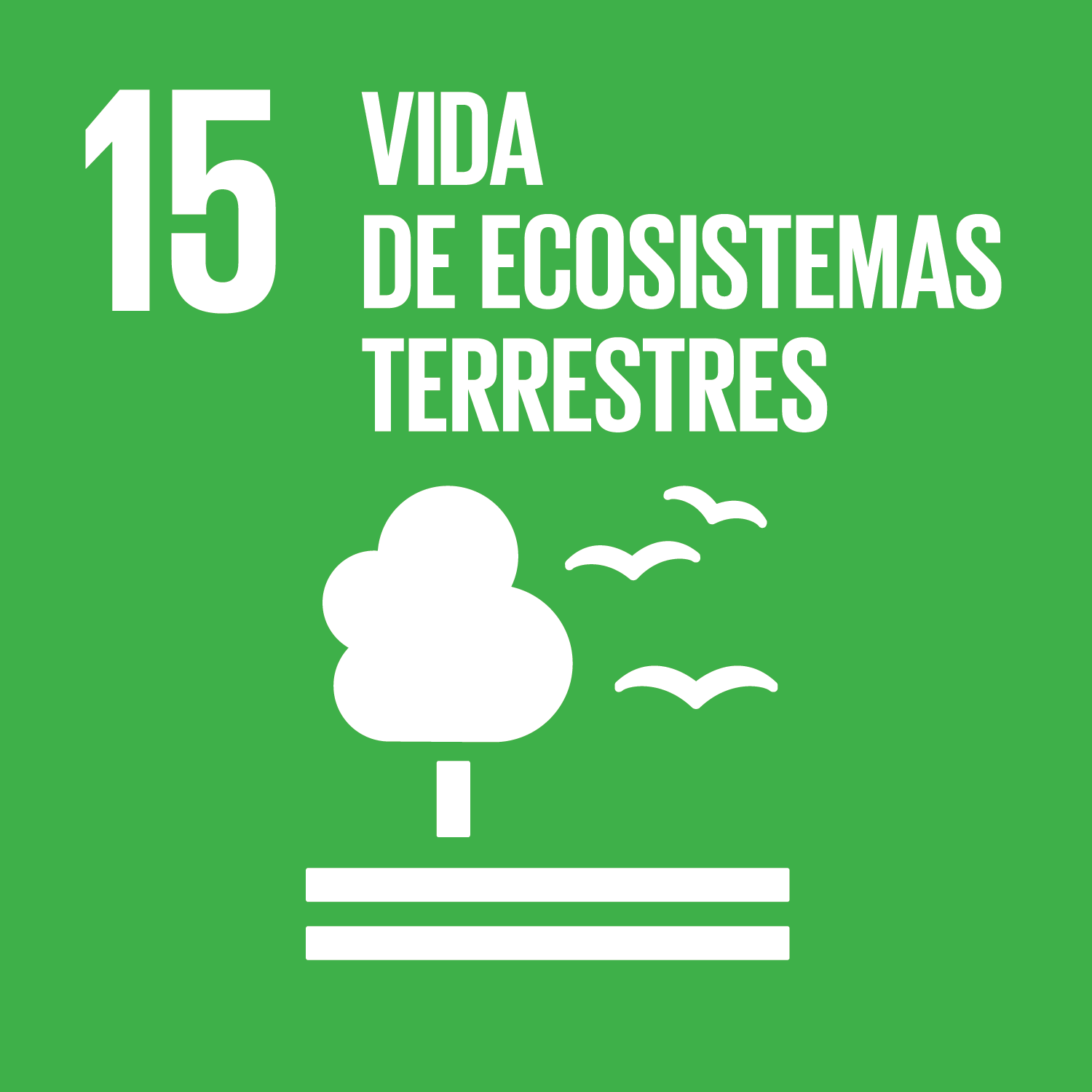 Objectiu 15 Vida d'ecosistemes terrestres