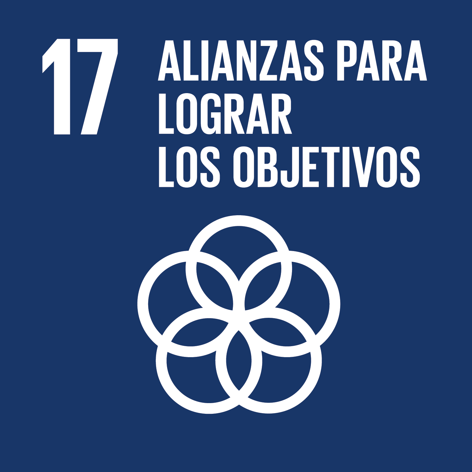 Objectiu 17: Aliances per a aconseguir els objectius