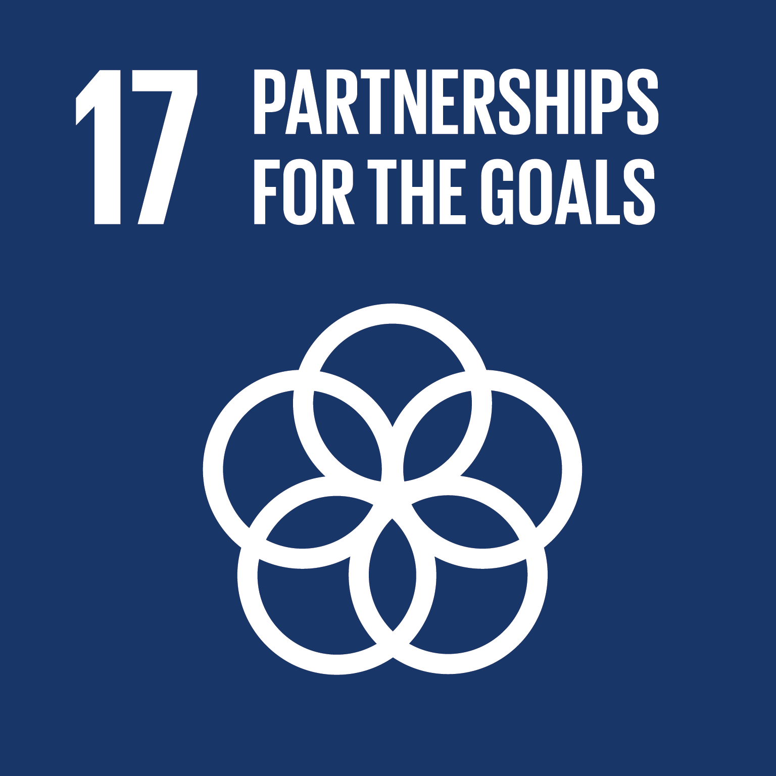 SDG Goal 17: Partnerships for the Goals