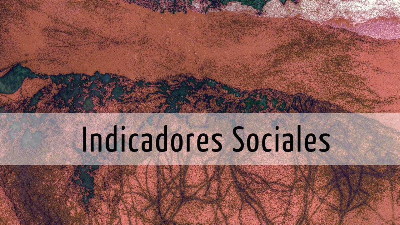 Indicadores sociales