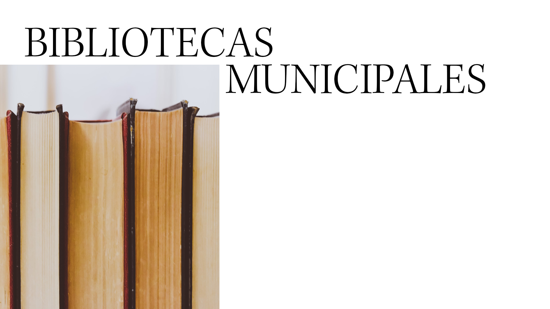 Bibliotecas Municipales: programación
