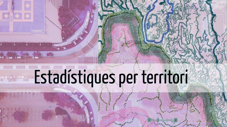 Estadístiques per territori