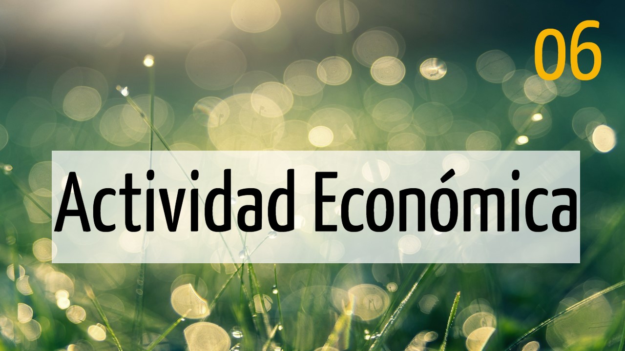 Actividad económica