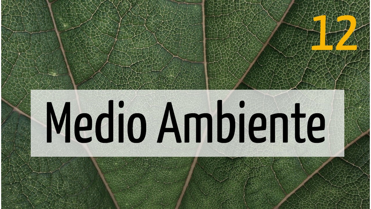 Medio ambiente