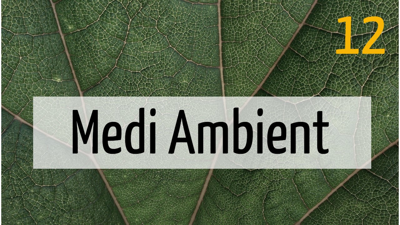 Medi ambient