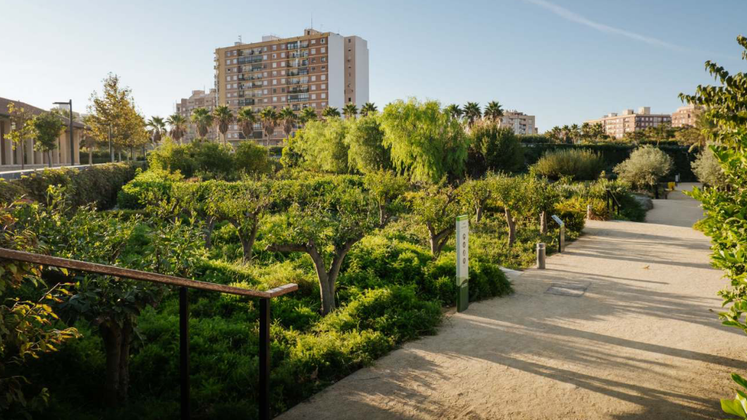 Contracte de manteniment per a la jardineria sostenible