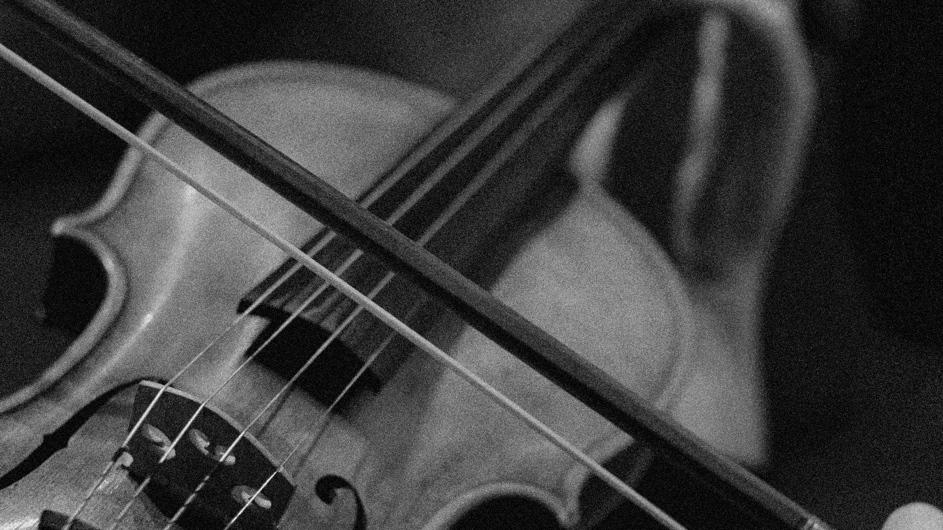 Violoncel
