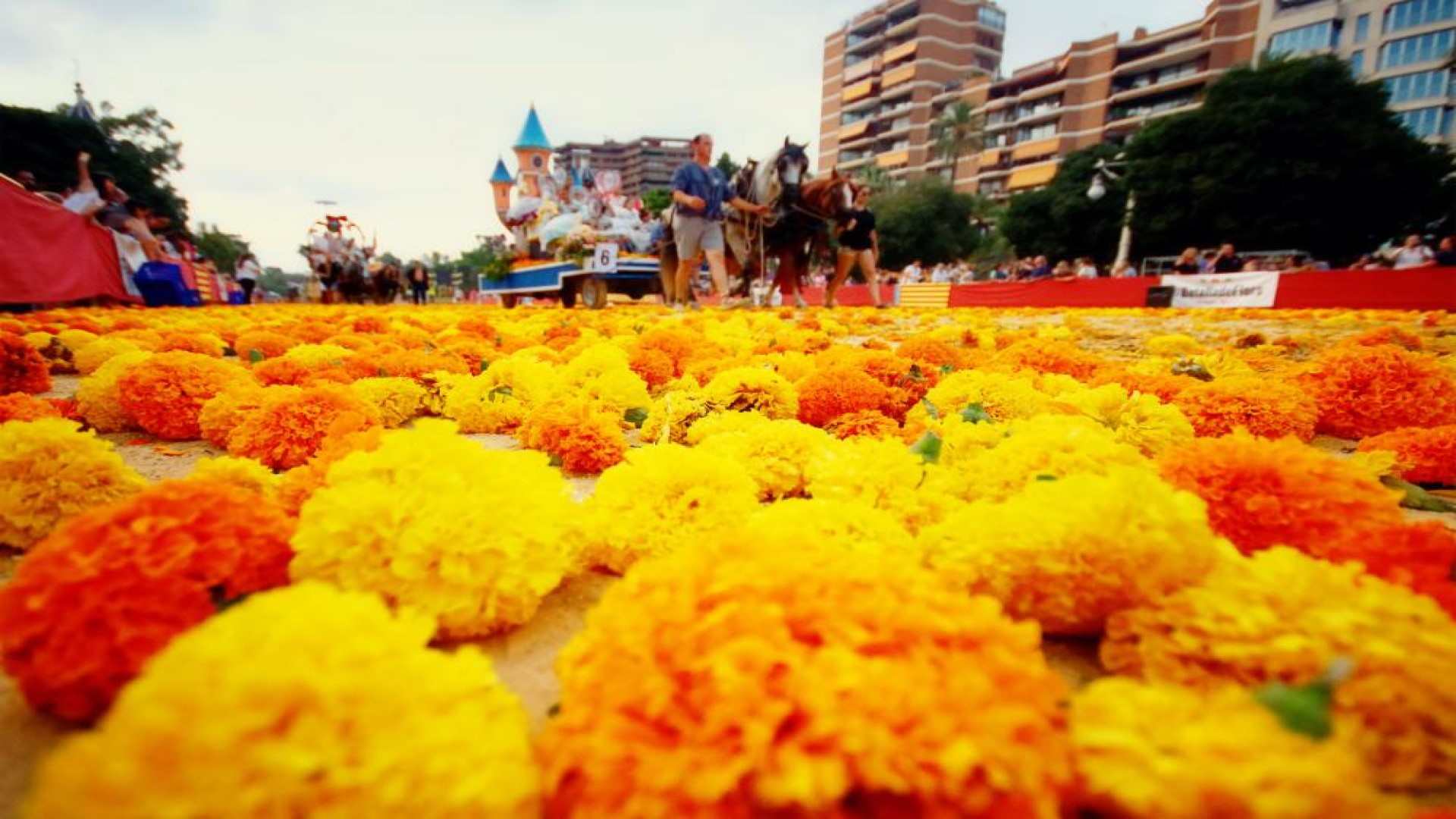 selección del diseño artístico de carrozas de la batalla de flores