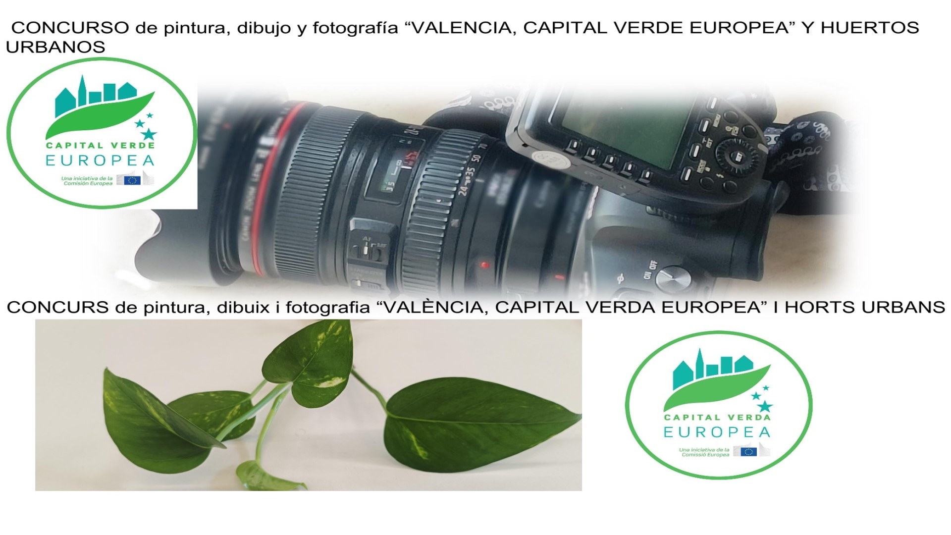 Concurs València, Capital Verda Europea i horts urbans