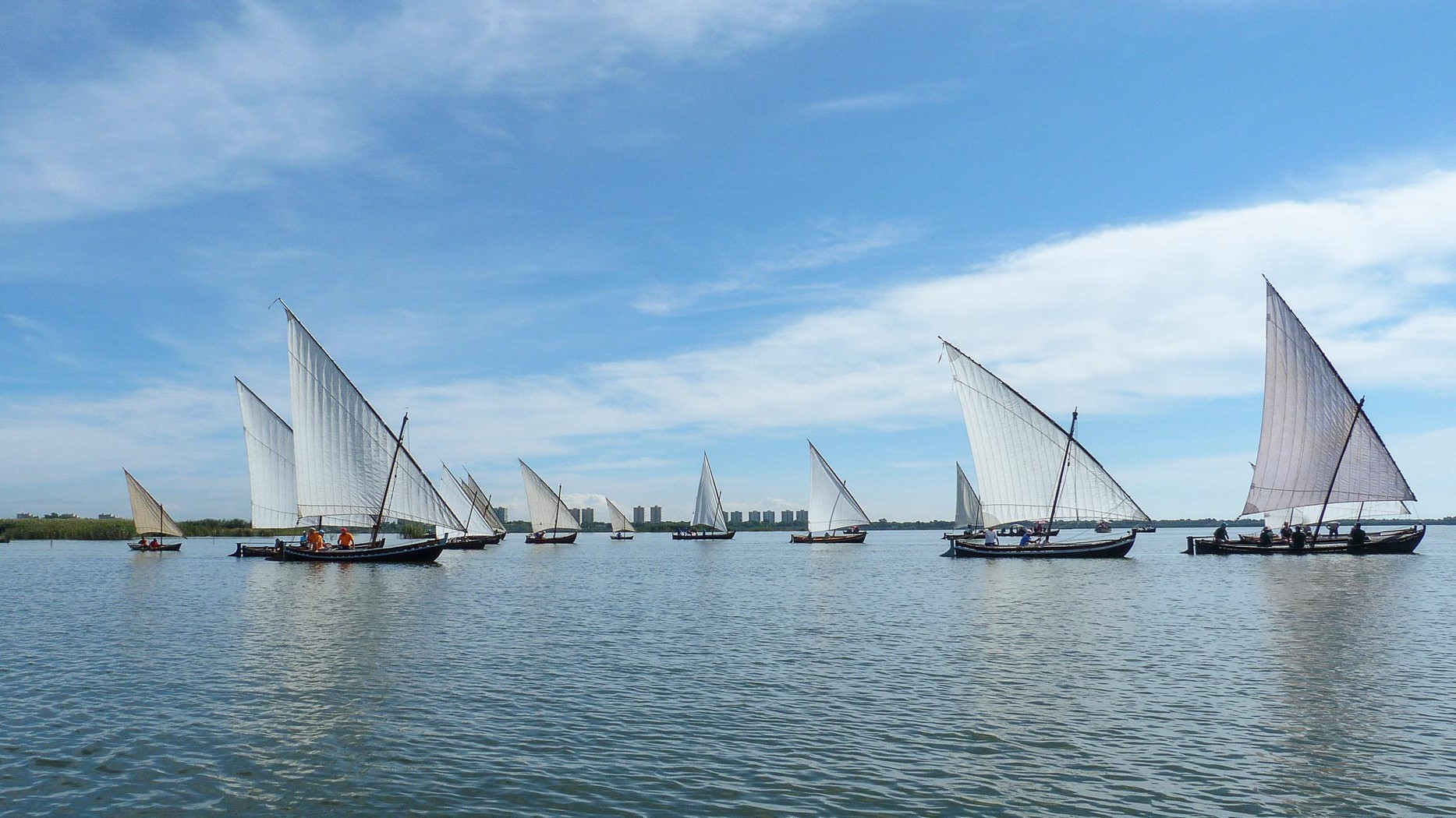 Embarcaciones de vela latina navegando por l'Albufera de València