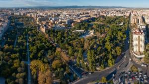 Vista en miniatura