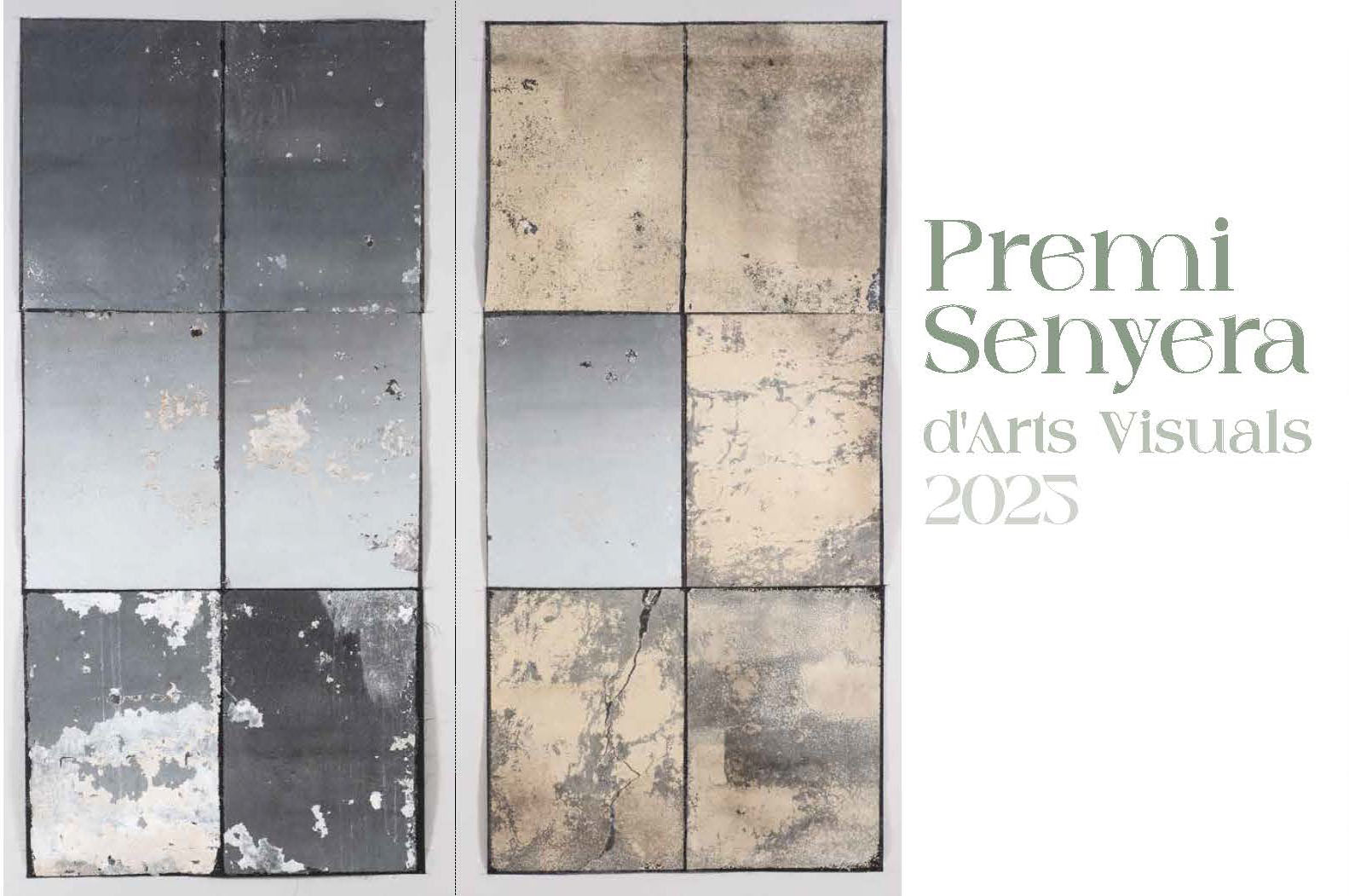 Premio Senyera de Artes Visuales 2025