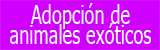 Adopción de animales exóticos