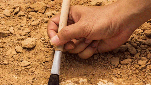 Beca d'Arqueologia 2020 Beca d'Arqueologia 2020