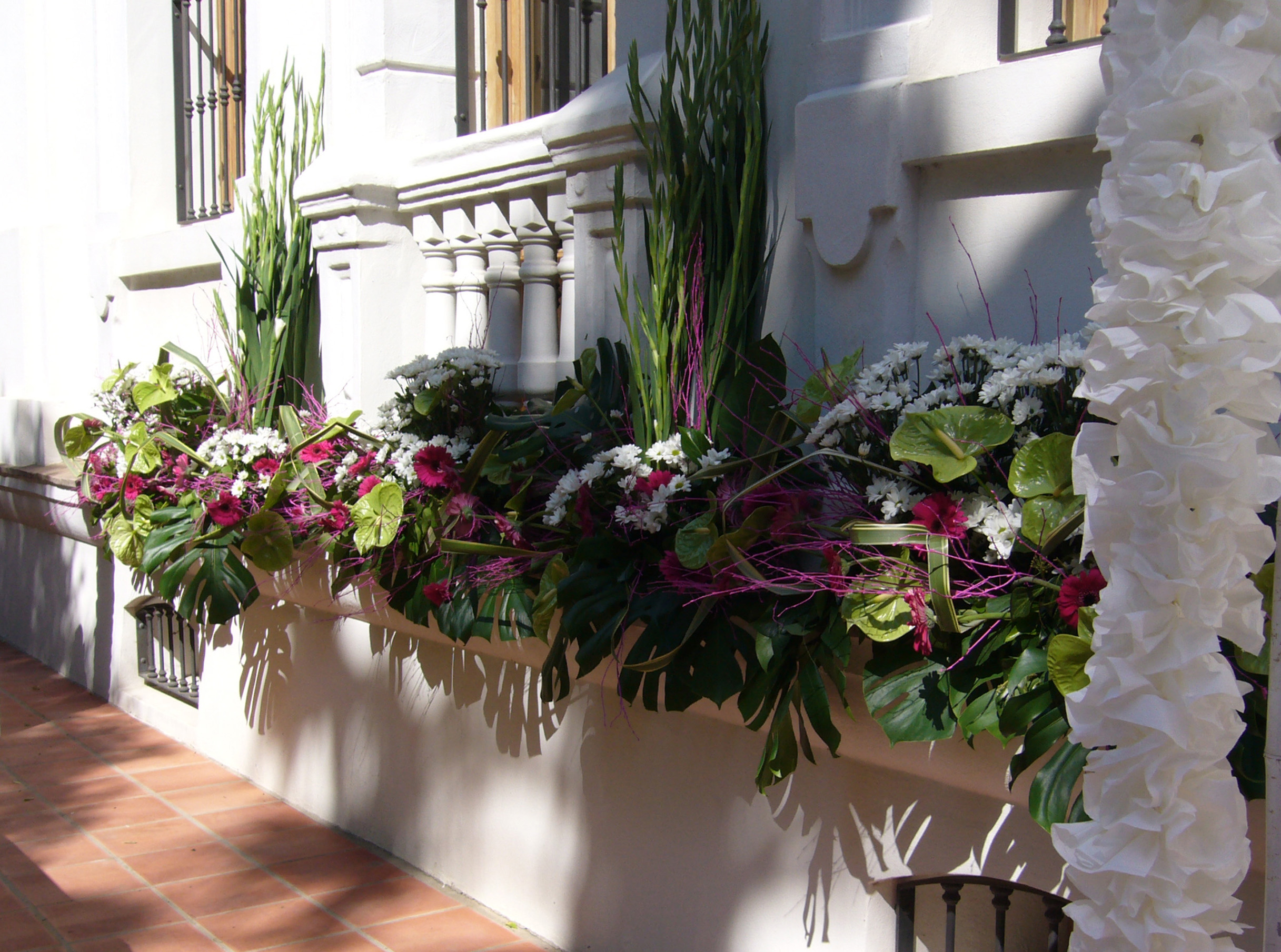 Preparación fin de curso mayo 2015 -2016. Alumnos 1º Curso oficial florista