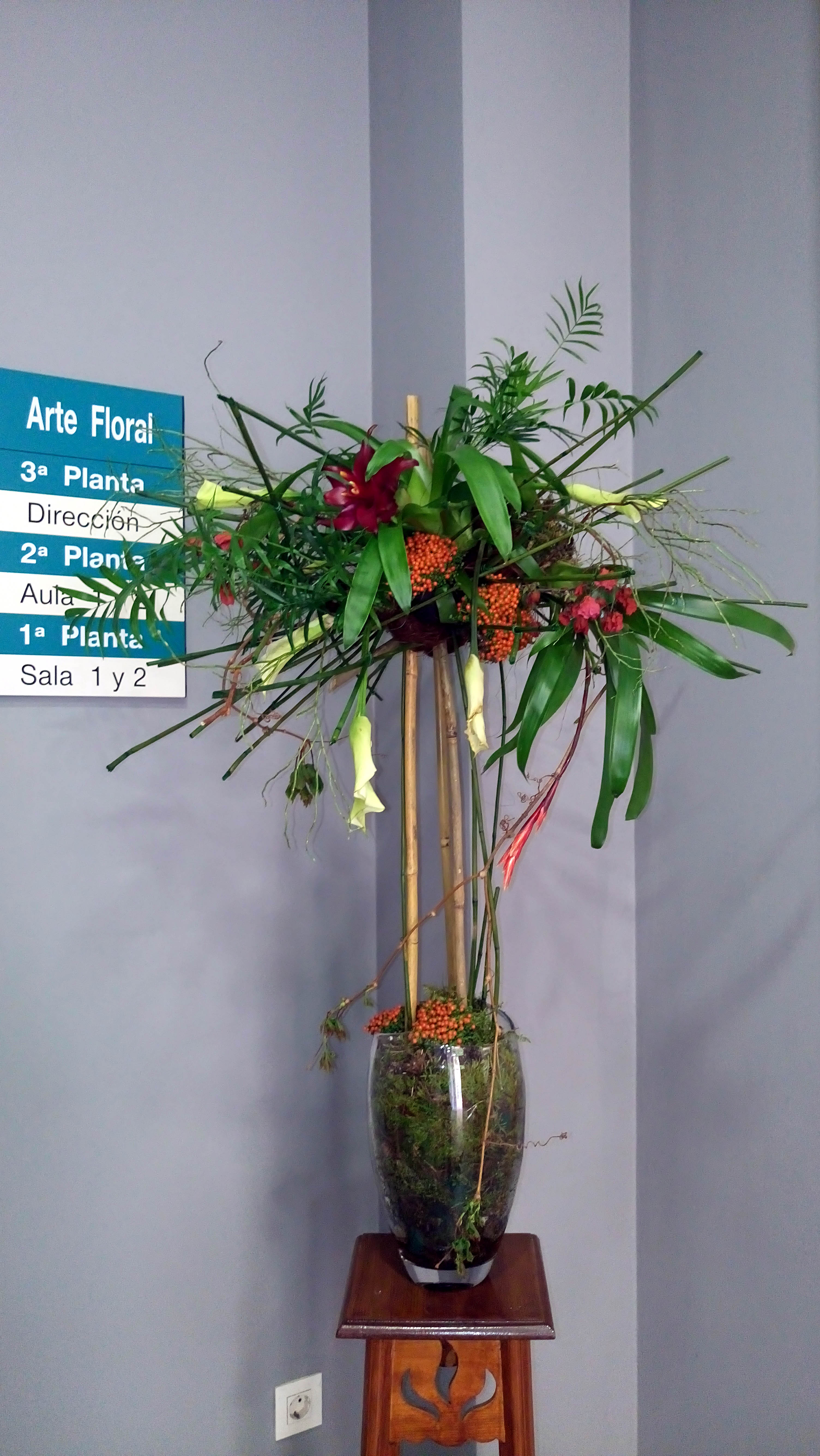 Alumnos de 2º curso de Oficial florista.