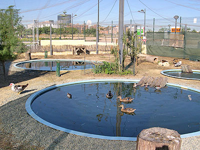 Centro municipal de acogida de animales exóticos y avifauna urbana Centro municipal de acogida de animales exóticos y avifauna urbana