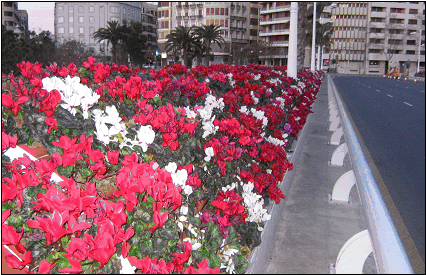 Puente de las Flores