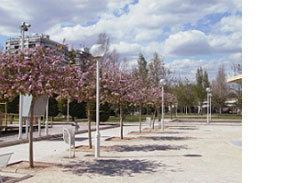 Tramo XII del Jardín del Turia