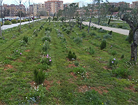 Zona de plantes aromàtiques Zona de plantes aromàtiques