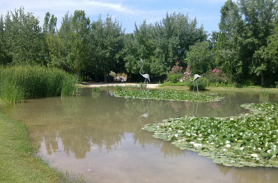 Parque de la Rambleta estanque en el Parque