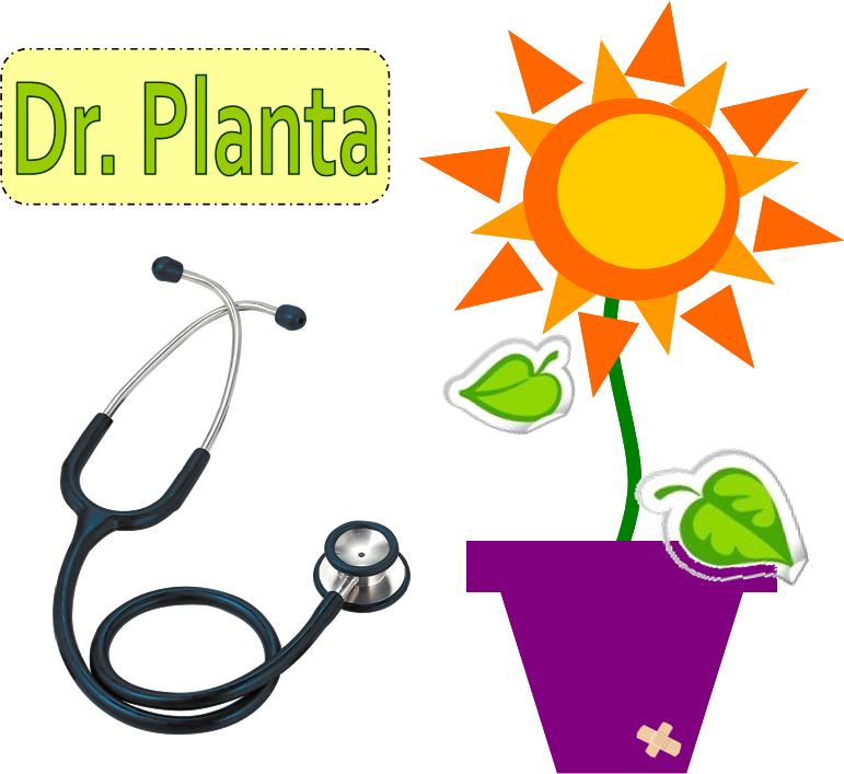 Dr. Planta Dr. Planta