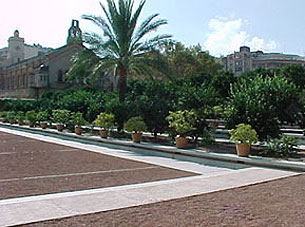 Jardí de les Hespèrides