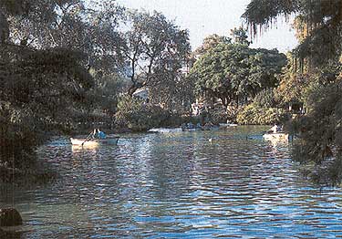 Jardí Mediterrani