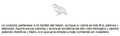 Guatla Guatla