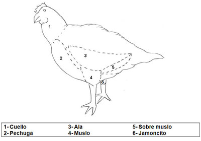 Pollastre Pollastre