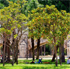 Parcs i Jardins