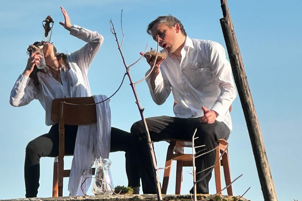 performanceart