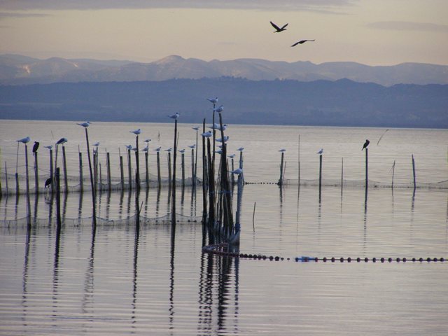  Un detalle del lago