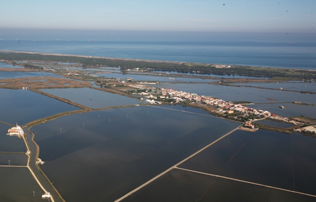  El Palmar durante la Perellonà