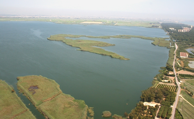  Las orillas y las matas