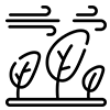 Icono